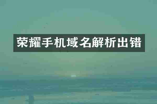 荣耀手机域名解析出错