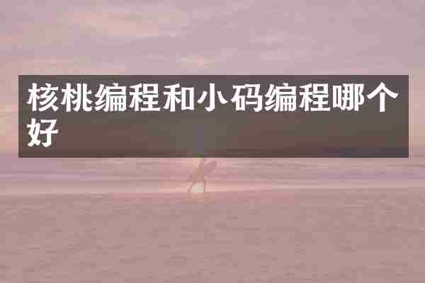 核桃编程和小码编程哪个好
