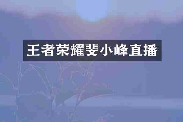 王者荣耀斐小峰直播