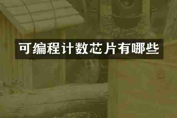 可编程计数芯片有哪些
