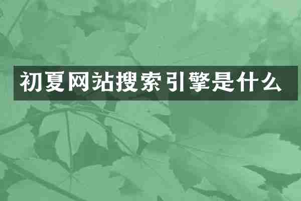 初夏网站搜索引擎是什么