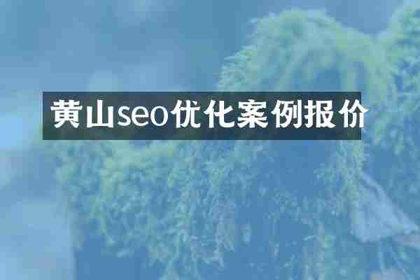 黄山seo优化案例报价