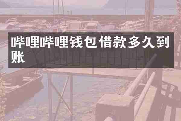 哔哩哔哩钱包借款多久到账