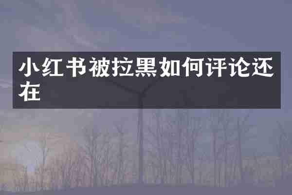 小红书被拉黑如何评论还在