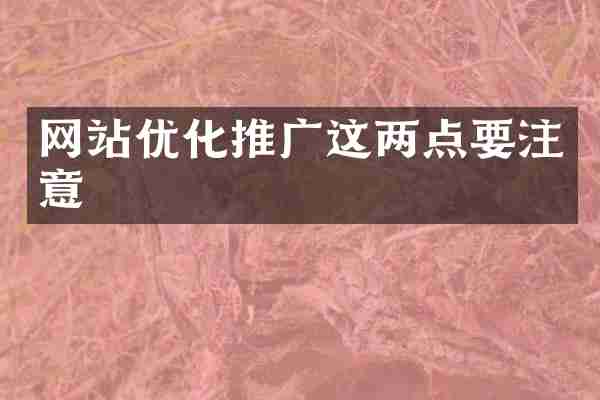 网站优化推广这两点要注意