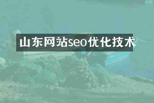 山东网站seo优化技术