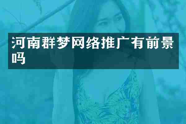 河南群梦网络推广有前景吗