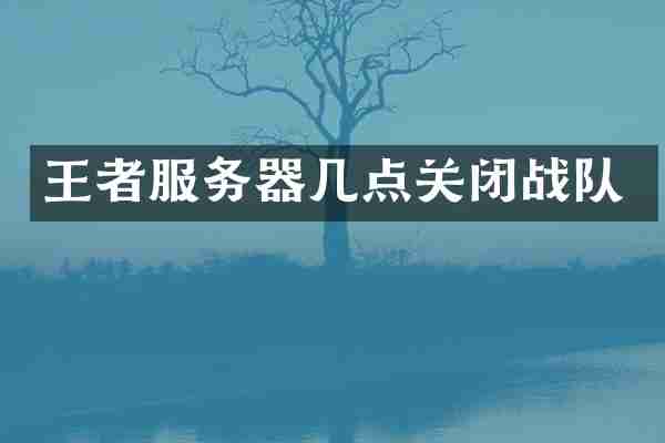王者服务器几点关闭战队