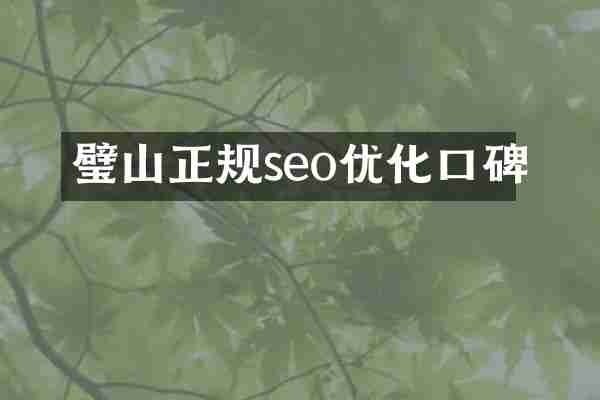 璧山正规seo优化口碑