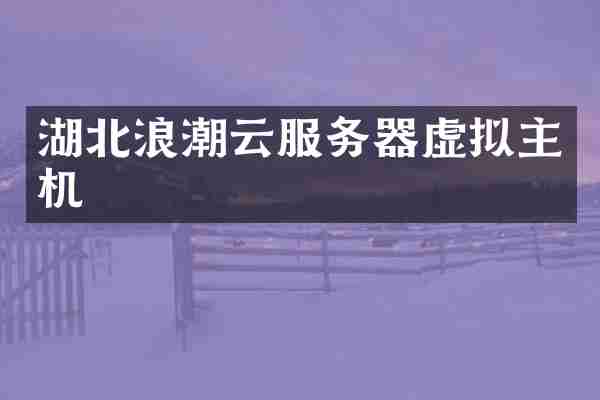 湖北浪潮云服务器虚拟主机
