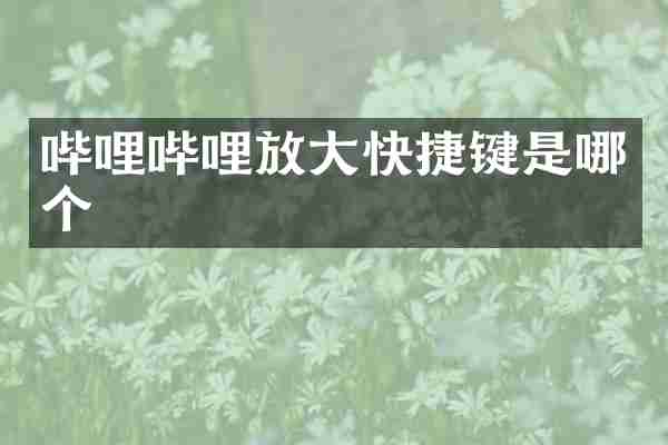 哔哩哔哩放大快捷键是哪个