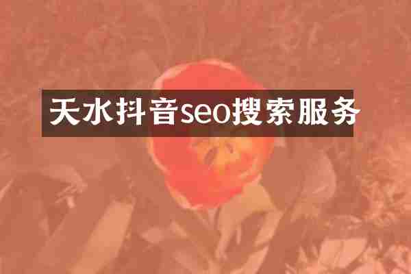天水抖音seo搜索服务