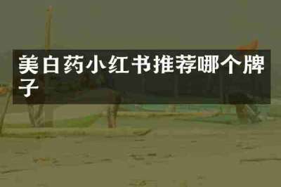 美白药小红书推荐哪个牌子