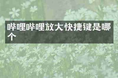 哔哩哔哩放大快捷键是哪个