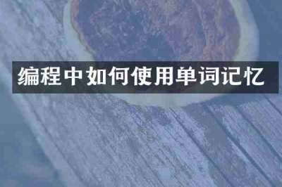 编程中如何使用单词记忆