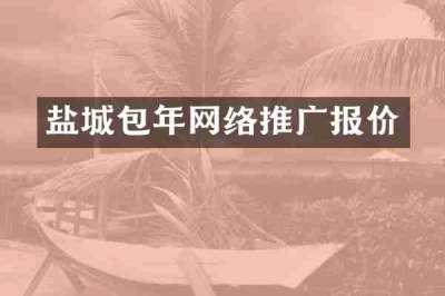 盐城包年网络推广报价