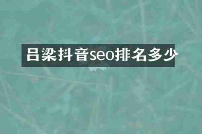 吕梁抖音seo排名多少