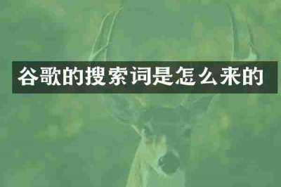 谷歌的搜索词是怎么来的