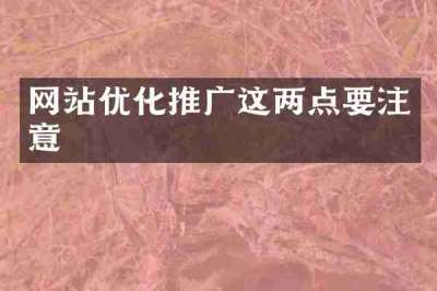 网站优化推广这两点要注意