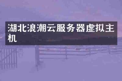 湖北浪潮云服务器虚拟主机