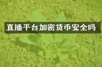 直播平台加密货币安全吗