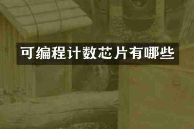 可编程计数芯片有哪些