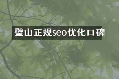 璧山正规seo优化口碑