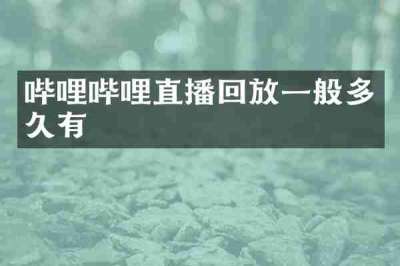 哔哩哔哩直播回放一般多久有