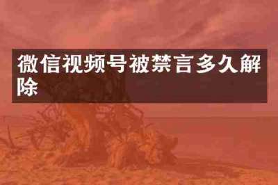 微信视频号被禁言多久解除