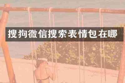 搜狗微信搜索表情包在哪