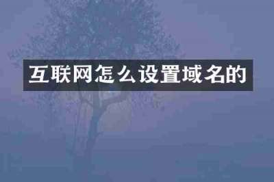 互联网怎么设置域名的
