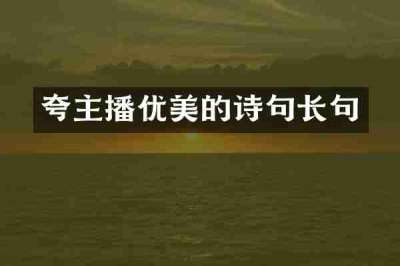 夸主播优美的诗句长句