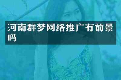 河南群梦网络推广有前景吗