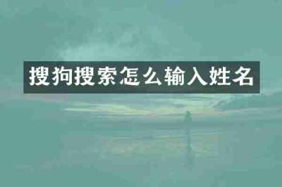 搜狗搜索怎么输入姓名
