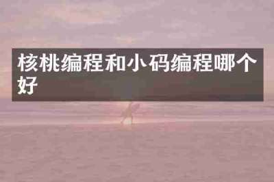核桃编程和小码编程哪个好