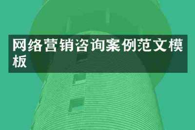 网络营销咨询案例范文模板