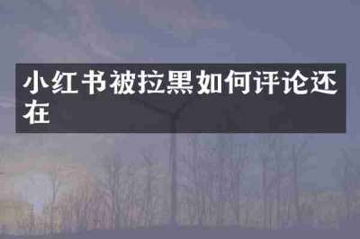 小红书被拉黑如何评论还在