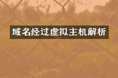 域名经过虚拟主机解析