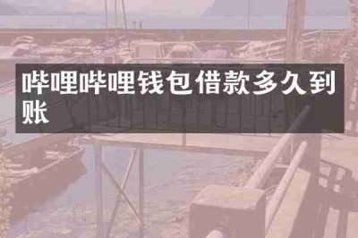 哔哩哔哩钱包借款多久到账