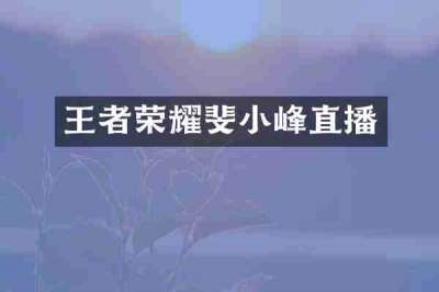 王者荣耀斐小峰直播