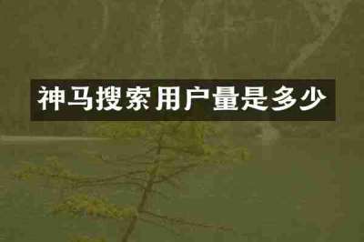 神马搜索用户量是多少