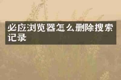 必应浏览器怎么删除搜索记录
