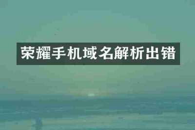 荣耀手机域名解析出错