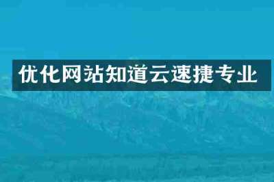 优化网站知道云速捷专业