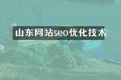 山东网站seo优化技术