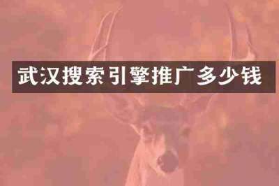 武汉搜索引擎推广多少钱