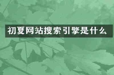 初夏网站搜索引擎是什么