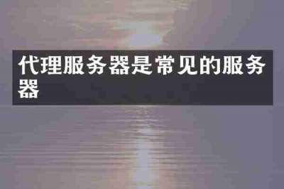 代理服务器是常见的服务器