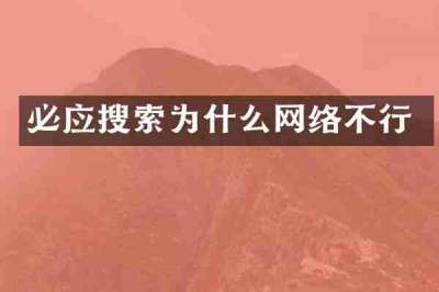 必应搜索为什么网络不行