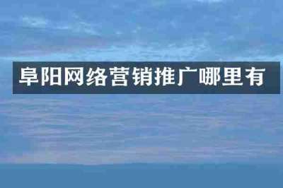 阜阳网络营销推广哪里有